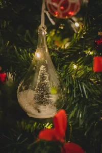 Lee más sobre el artículo El árbol de Navidad: un símbolo de nostalgia, gratitud y renovación